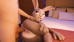 anal bed bunny_girl bunny_tail disney eye_contact judy_hopps tagme video zootopia