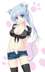 amicis animal_ears beige_skin blue_eyes blue_hair breasts cleavage clothes color crop_top female female_only front_view fur furry_ears furry_tail grey_fur grey_hair hair hi_res humanoid kemonomimi looking_at_viewer navel open_eyes open_fly open_mouth original panties ponytail shorts solo standing tail tattoo thigh_highs tied_hair underwear unzipped