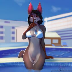 absurd_res anthro bat bottomless canid canine clothed clothing colored_nails female fox genitals hi_res hybrid leaf-nosed_bat mammal microbat nails nyx_(kobiyashi7) outside piercing pubes public public_nudity pussy shush sibi_the_messtress solo swimming_pool swimwear vampire_bat water wet