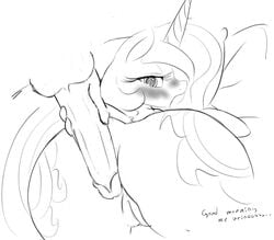 2013 alicorn blush cutie_mark equine female friendship_is_magic hair horn horse long_hair my_little_pony penis pony princess_celestia_(mlp) pussy seii3 wings zev