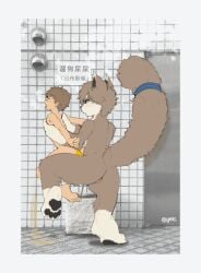 anal anal_sex animated anthro bodily_fluids duo genital_fluids human human_on_anthro interspecies male male/male mammal peeing penetration sex stomach_bulge urine watersports yrac