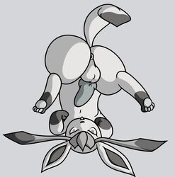 anus balls canine eeveelution familiar flygon_(artist) glaceon greyscale hindpaw knot male male_only monochrome nintendo nude pawpads paws penis pokemon pokemon_(species) presenting solo tongue video_games