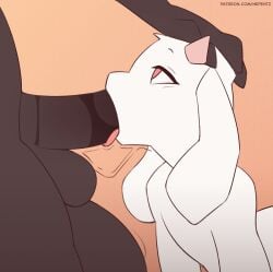 2d_animation animated anthro balls bodily_fluids bovid caprine deep_throat deepthroat deltarune duo face_fucking facefuck fellatio femboy frame_by_frame furry genitals goat hand_on_head hi_res holding_head horn looking_up looking_up_at_partner male male/male male_penetrated male_penetrating male_penetrating_male mammal neck_bulge nepentz oral oral_penetration penetration penile penis penis_in_mouth ralsei saliva saliva_on_penis saliva_string sex short_playtime throat_fuck thrusting thrusting_into_mouth tongue tongue_out undertale_(series)