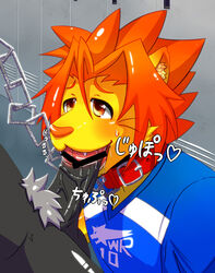 amber_eyes anthro balls blush collar feline fur furry furry_only gay lion male morenatsu no_humans oral penis soutaro vein