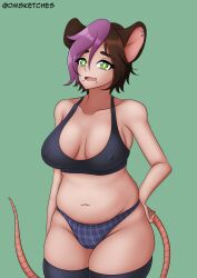 1girls asymmetrical_hair brown_hair chin_piercing chubby chubby_female dmdemon ear_ring green_eyes medium_breasts midriff nipple_bulge no_bra oc original_characters panties piercing plaid_panties purple_hair rat_ears rat_girl rat_tail short_hair snakebite_piercing tank_top thick_thighs thigh_squish thighhighs tummy two_tone_hair wide_hips