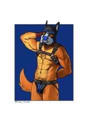 absurd_res animal_mask anthro canid canine clothing drago_tatsuki_(artist) fennix fox harness hi_res jockstrap leather leather_harness leather_strap looking_at_viewer male male_only mammal mask pup_mask solo solo_focus straps underwear