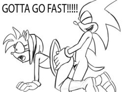 amy_rose animated anthro balls female hair hedgehog male monochrome penetration penis rule34rox sega sex smile sonic_(series) sonic_the_hedgehog straight text