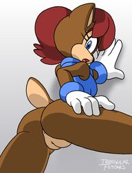 sally acorn from sega by irregular fetishes