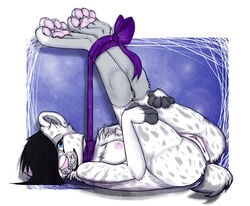 1girls anthro anus ass black_hair blue_eyes bondage bound breasts carifoxleopard feline female fur furry furry_only grey_fur hair leopard nipples no_humans nude original_character pawpads paws pussy ribbons saber_tooth_tiger showing_off sketch smile snow_leopard tail white_fur