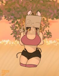 booty_shorts box_on_head breasts cardboard_box exhale hair mouse mouse_ears mouse_girl mouse_humanoid mouse_tail sfw sfw_version sports_bra stockings tagme thighs thong tired tired_look