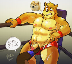 2013 anthro canine furry male male_only nipples penis shiba_inu topless wolfyama