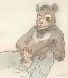 anthro balls bear furry male male_only masturbation penis sicklyhypnos solo vein