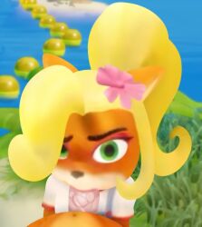 accessory activision bandicoot blonde_hair coco_bandicoot crash_(series) fellatio female flower flower_in_hair genitals green_eyes hair hair_accessory hi_res male male/female mammal marsupial oral penile penis plant ponytail screencap screencap_background sex theradger457 water