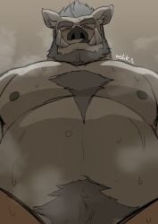 1boy :q bara beard big_belly blush boar_boy character_request chest_tuft completely_nude extra_tusks facial_hair fat fat_man from_below full_beard grey_fur grey_hair huge_eyebrows large_pectorals long_tusks looking_at_viewer male_focus masa_(mshk_s) mature_male muscular muscular_male navel navel_hair nipples nude pectorals pov pov_crotch sex short_hair solo_focus steaming_body stomach sweat taker_pov thick_beard tokyo_afterschool_summoners tongue tongue_out very_sweaty y'golonac_(housamo)