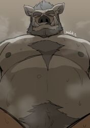 1boy :q bara beard big_belly blush boar_boy character_request chest_tuft completely_nude facial_hair fat fat_man from_below full_beard grey_fur grey_hair huge_eyebrows large_pectorals long_tusks looking_at_viewer male_focus masa_(mshk_s) mature_male multi_tusk muscular muscular_male navel navel_hair nipples nude pectorals pov pov_crotch sex short_hair solo_focus steaming_body stomach sweat taker_pov thick_beard tokyo_afterschool_summoners tongue tongue_out tusks very_sweaty y&#039;golonac_(housamo)