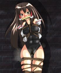 abs aozora_p arms_behind_back blush bondage bound_legs breast_bondage breasts brown_eyes brown_hair detached_sleeves drooling female gag gagged hair_tubes hakurei_miko leotard long_hair pussy_juice pussy_juice_drip rope skindentation solo thigh_gap touhou