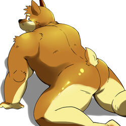 anthro ass canine furry male male_only mooning nude shiba-kenta solo