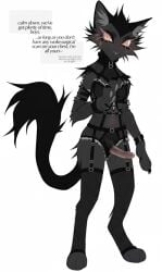 original character from warriors (book series)