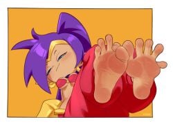 shantae (character) from shantae by staerk