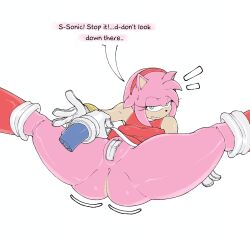 amy rose from sega