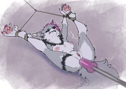 Booru post from rule34.xxx