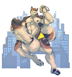 anthro barefoot biceps boulevard canine chest_tuft clothing collar color erection front_view furry gigantic_penis gigantic_testicles holding humanoid_penis hyper leash looking_at_viewer male male_only muscles nude pants pants_down penis shorts solo standing testicles topless tuft wolf