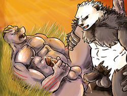 2boys anal anal_sex ass balls biceps big_breasts big_penis black_nose breasts cum erect_nipples erection fur furry furry_only gay huge_breasts lowemond machoke male male_only muscles nintendo nipples no_humans open_mouth orgasm pangoro pecs penetration penis pokemon pokemon_(species) sex teeth tongue vein video_games yaoi