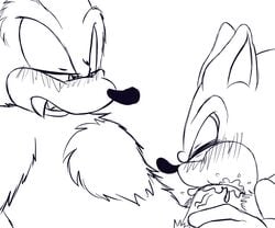 2013 anthro bluechika blush erection fellatio fur furry hair hedgehog male male_only monochrome multiple_males no_humans nude oral oral_sex penis sex shadow_the_hedgehog sonic_(series) sonic_the_hedgehog sonic_the_werehog werehog yaoi