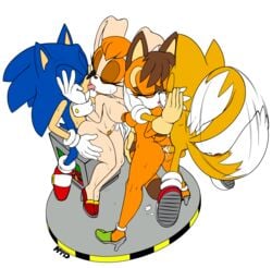 anthro ass balls big_breasts breasts erection female fur hair hedgehog interspecies kissing male marine_the_raccoon marthedog nipples nude open_mouth penis plain_background pussy sega sex sonic_(series) sonic_the_hedgehog straight tails tongue tongue_out vanilla_the_rabbit video_games white_background