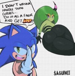 sonic the hedgehog from sega by saguinee