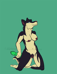 2013 airless anatomically_correct anthro bad_dragon breasts canine dildo female furry husky nipples pussy sex_toy solo