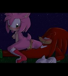 amy_rose anthro ass assjob bluechika blush breasts buttjob color echidna female furry furry_only grass hedgehog knuckles_the_echidna male mammal monotreme night nude on_back outdoors penis pink_fur red_fur sega short_hair sonic_(series) straight uncensored