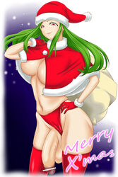 1futa areola balls breasts cape censored christmas cleavage flaccid futa_only futanari gloves green_hair hand_on_hip hat holidays intersex large_breasts large_penis long_hair midriff navel panties panties_aside penis pointless_censoring santa_claus santa_hat solo standing testicles thighhighs tontoro8 voluptuous