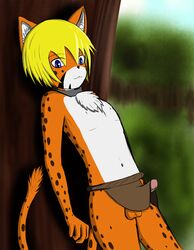 anthro balls blonde_hair blue_eyes cheetah collar erection feline forest fur furry hair iclare_krual loincloth male male_only orange_fur penis petkitten solo spots tree white_fur