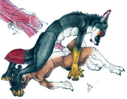 2010 anthro balls canine cum cum_in_sheath cum_inside docking erection fur furry furry_only gay knot male no_humans open_mouth penetration penis plain_background sheath_penetration wereblood