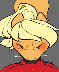 applejack (mlp) from friendship is magic by saltedtea