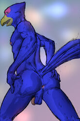 anthro anus ass avian balls beak bird blue_eyes ducati ducati_(artist) falco_lombardi feathers furry furry_only half-closed_eyes hi_res looking_back male male_only nintendo nipples nude open_mouth pecs penis presenting presenting_hindquarters solo spread_legs spreading standing star_fox tongue video_games