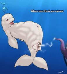 after_sex anus aquatic belly belly_bulge beluga blubber breasts cetacean cetacean_penis crotchboob crotchboobs female interspecies lactation male marine navel orca penetration penis pussy sea sex swimming underwater vaginal_penetration water whale zevex