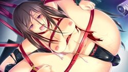 ail_soft blush bondage breasts brown_hair collar cuffs female fukushuu_no_honoo_wa_ingoku_no_yami_ni_moe game_cg harness long_hair mizushina_arisa navel nipples open_mouth purple_eyes pussy_juice ribahara_aki solo spread_legs suspension torn_clothes vibrator_under_panties video_camera