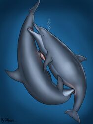 anatomically_correct anus cetacean dolorcin dolphin female feral male marine oral pregnant slit