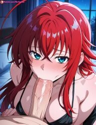 rias gremory from high school dxd by nerfepitou