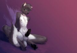 anthro balls black_penis canine dash_shepard erection fur furry furry_only green_eyes grey_fur looking_at_viewer male male_only nipples nude penis sheath simple_background sitting smirk solo wolf