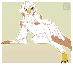 anthro avian beak bird breasts candykittycat female furry looking_at_viewer nude pinup pussy solo