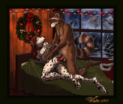 2013 anthro anus balls breasts canine christmas closed_eyes collar dalmatian eyewear female from_behind furry glasses hair holidays lying male nude on_side penetration penis pussy raccoon red_hair seskata sex straight vaginal_penetration winter