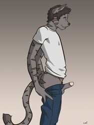 anthro balls clothing dark_fur erection feline furry furry_only jeans lumi male male_only penis pubes shirt simple_background solo undressing white_shirt