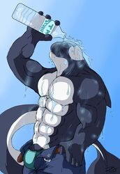 abs big bottle cetacean clothing dragonslash glamour male male_only marine muscles nude orca pants pecs penis scale solo stripes sun water wet whale