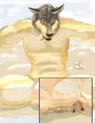 2010 anthro ass balls beach beach_umbrella big_penis brown_body brown_fur canid canine canis cloud colored extreme_size_difference forced fox fur genitals group half-erect humanoid_genitalia humanoid_penis jeri_kleinlowe macro male male/male mammal micro micro_abuse micro_anthro micro_under_balls muscular nude nude_anthro nude_macro nude_male nude_micro outside parasol penis public public_nudity sand screaming sitting size_difference sky smile species_request spread_legs spreading struggling tail tan_body tan_fur tongue tongue_out trapped trio under_balls water wolf