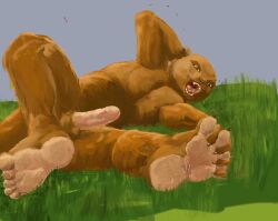 anthro balls blue_sky brown_body brown_eyes brown_fur claws colored erection feet fur genitals grass green_grass humanoid_genitalia humanoid_penis jeri_kleinlowe lying male male_only mammal mustelid nude nude_anthro nude_male on_side open_mouth otter otter_tail outside penis plant sky smile solo solo_male tail teeth tongue
