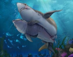 ambient_jellyfish ambient_sealife anthozoan blue_eyes cetacean cetacean_vulva clothed clothed_feral clothing cnidarian coral dolphin duo erection eyebrow_piercing facial_piercing female feral feral_on_feral feral_penetrated feral_penetrating feral_penetrating_feral fish fishnet_clothing fishnet_topwear furgonomics grey_body grey_skin hi_res interspecies licking licking_lips male male/female mammal marine navel penetration penile penile_penetration penis_in_vagina piercing redraptor16 sea_anemone sex shark sharp_teeth tail tail_clothing teeth tongue tongue_out toothed_whale topwear underwater underwater_sex vaginal_penetration water what why