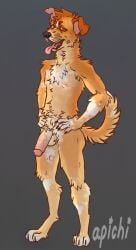 5_fingers absurd_res anthro apichi black_nose canid canine canis claws countershade_fur countershading domestic_dog eyebrows finger_claws fingers fur genitals hi_res humanoid_genitalia looking_at_viewer male mammal navel nipples notched_ear nude nude_anthro open_mouth penis russel_(apichi) signature solo standing tan_body tan_fur